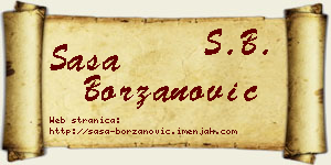 Saša Borzanović vizit kartica